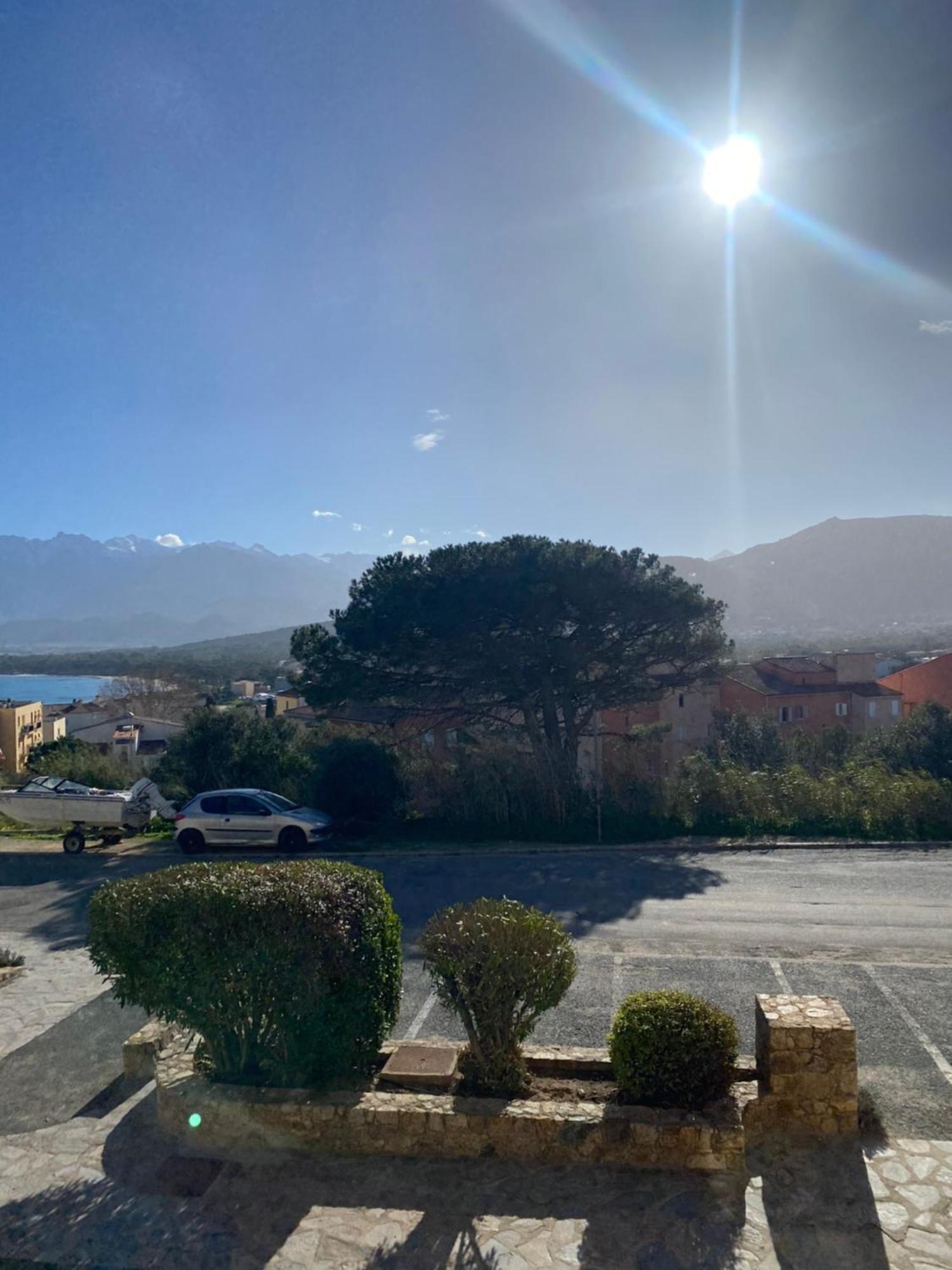 Coeur De Calvi Apartamento Calvi  Exterior foto
